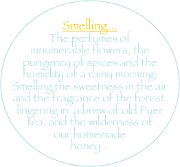 
Smelling... 
The perfumes of innumerable flowers, the pungency of spices and the humidity of a rainy morning; 
Smelling the sweetness in the air and the fragrance of the forest, lingering in  a brew of old Puer tea, and the wilderness of our homemade honey...