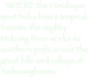 WHERE the Himalayas meet Indochina's tropical forests, the mighty Mekong River works its southern path across the great hills and valleys of Xishuangbanna.