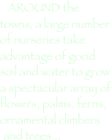 AROUND the towns, a large number of nurseries take advantage of good soil and water to grow a spectacular array of flowers, palms, ferns, ornamental climbers and trees...